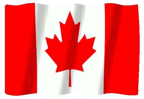Usa Flag